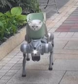 cattech