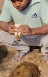 pajeet eating cow shit