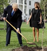Digging