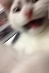 AAAAAAAAAAAHHHHHHH