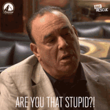 are-you-that-stupid-are-you-dumb
