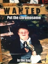 1747468456055194