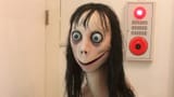 Momo-CM-1670125518