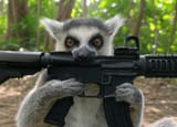 BAS eat gun