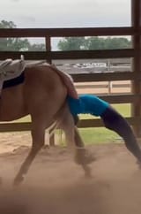 HorseJob