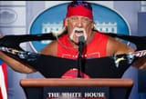 Hulkster Press Secretary