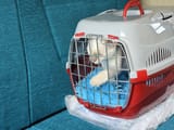 IMG_20250725_073155_954