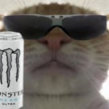 boomerkot