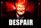 Despair