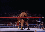 hulkhogan-andrethegiant