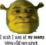 SHREK_WISH_