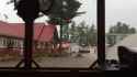 Lightning strikes pine tree (no audio) (2MB)_thumb.jpg