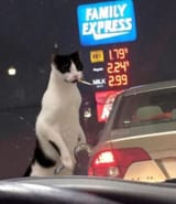 1726286100902984
