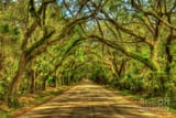 edisto-island-botany-bay-road-south-carolina-landscape-art-reid-callaway