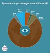 Theratears-infographic_big