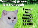 touching grass isnt enough