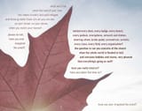 hyeits maple