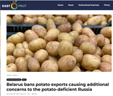 belarus potato
