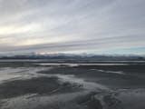 IMG_0959