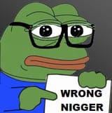 wrong nigger pepe