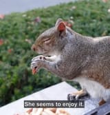 Screenshot_20250104_225021_Firefox Focus