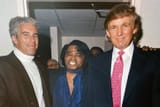 trump epstein brown