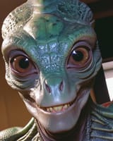 Real Reptillian