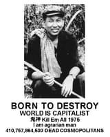 pol pot born to destroy