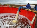 russia oilspill