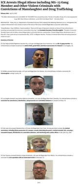 Screenshot 2025-07-25 at 08-49-10 ICE Arrests Illegal A[...]