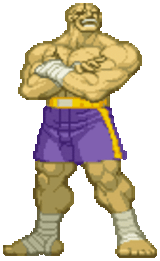 sagat