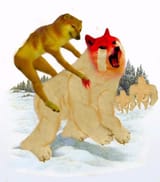 Doge Rape