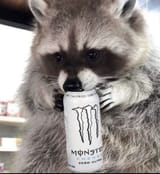 GWnCC0UWQAAqPlq