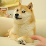 images (7)
