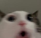 1741545889507749