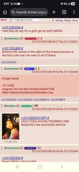 1753453393209822