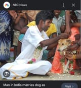 Hindpoos marry dogs