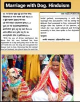 Dog marriage is surprisingly common in India