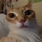 WffYe2nmXD02kFKx