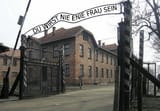 41-will-be-set-free