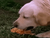 Thread image