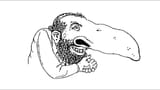 longnosejew