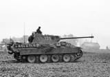 Panther