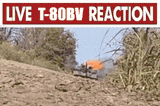 T80 BVM reaction