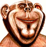 1645514236825