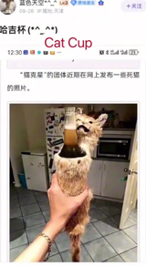 1723039392857482