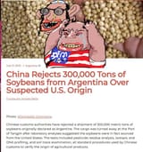 525252