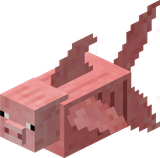 image-21