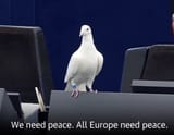 211