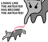 anteatee